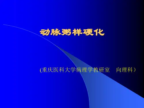 复动脉粥样硬化高级