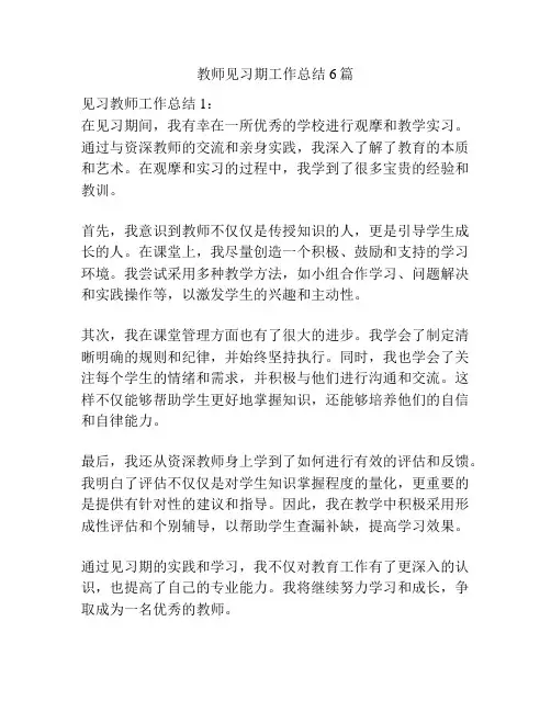 教师见习期工作总结6篇