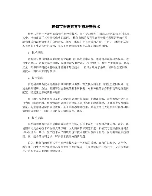 桦甸市稻鸭共育生态种养技术