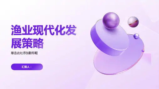 渔业现代化发展策略