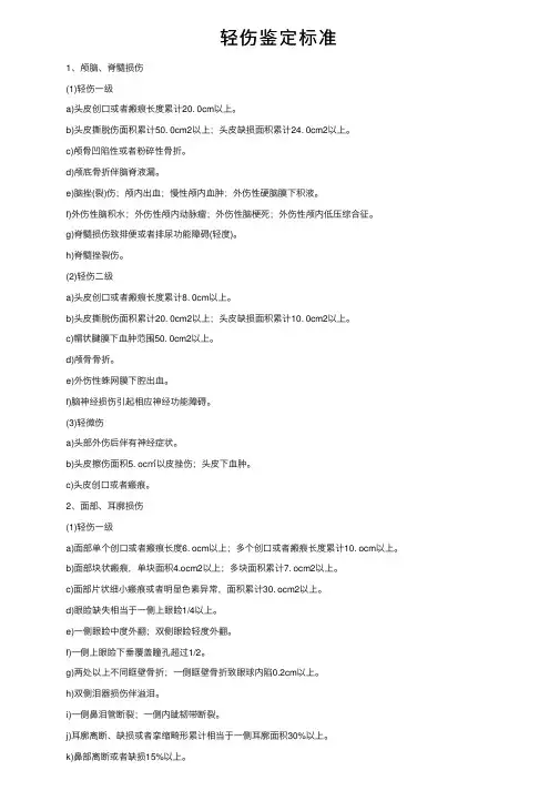 轻伤鉴定标准