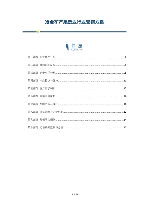 冶金矿产采选业行业营销方案