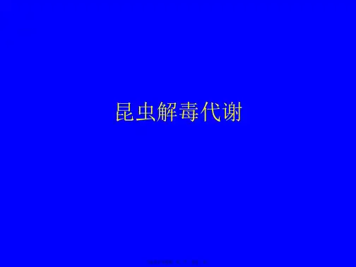 昆虫解毒代谢