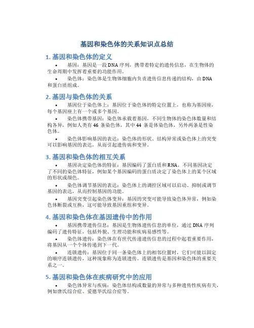 基因和染色体的关系知识点总结