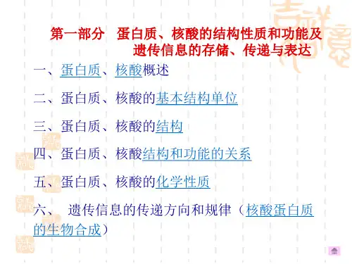 高中生物 第一部分蛋白质、核酸的结构性质