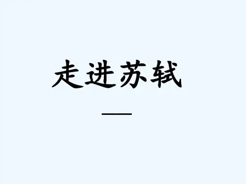 走进苏轼的家庭家人 PPT