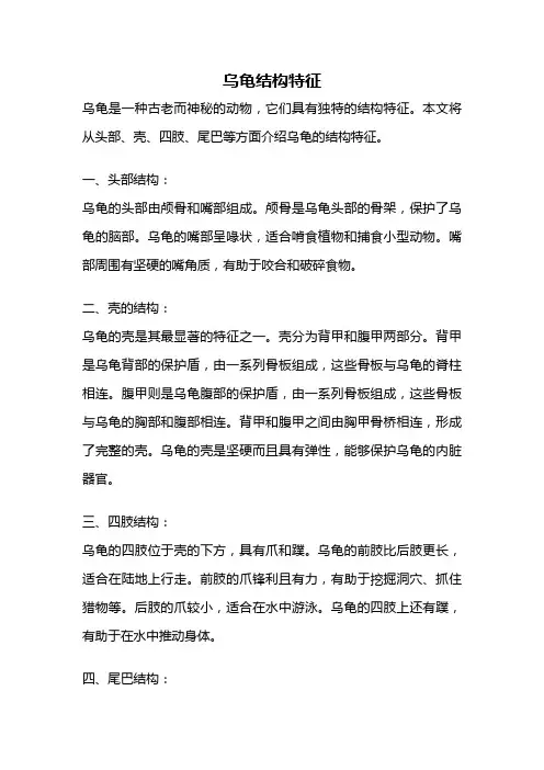 乌龟结构特征