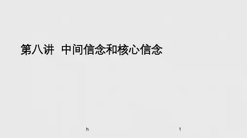 中间信念和核心信念
