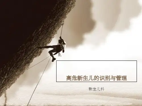 高危儿识别与管理ppt课件
