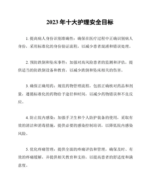 2023年十大护理安全目标
