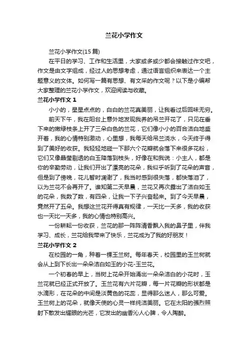 兰花小学作文（15篇）