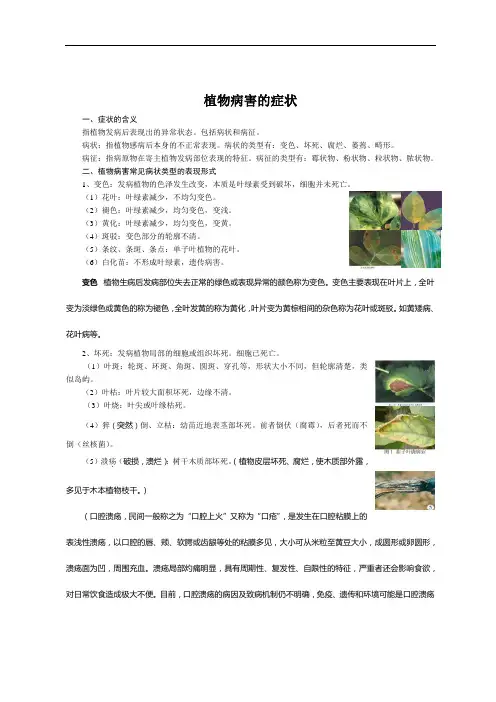 植物病害的症状