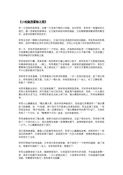 小松鼠的冒险之旅