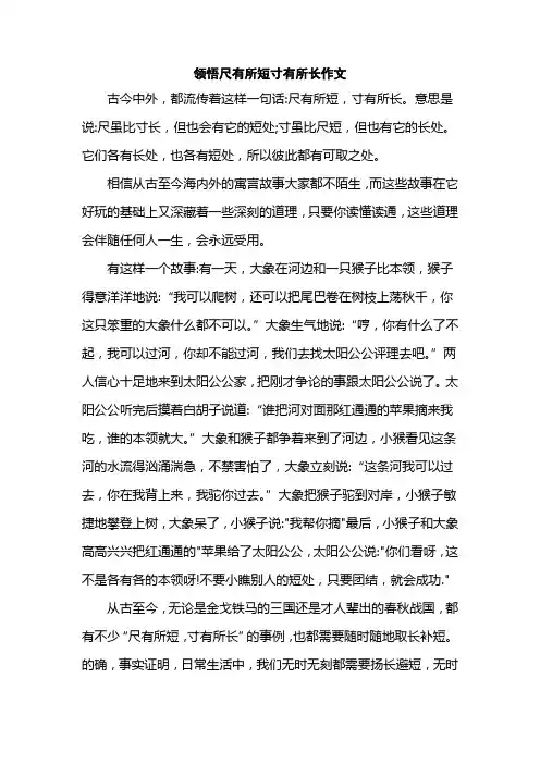 领悟尺有所短寸有所长作文