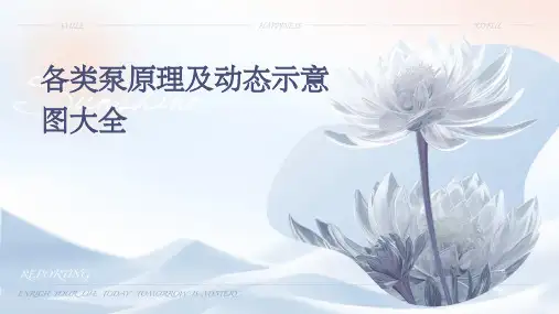 各类泵原理及动态示意图大全