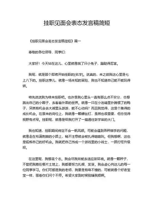 挂职见面会表态发言稿简短