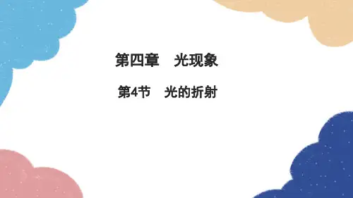 人教版物理八年级上册 第四章 光现象 第4节 光的折射习题课件(共24张PPT)