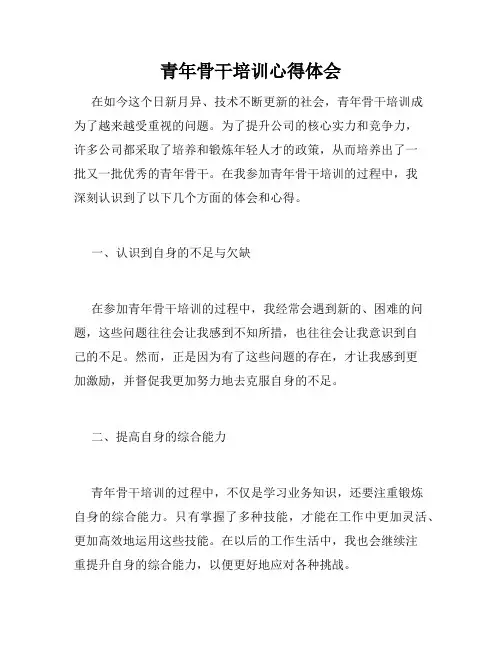 青年骨干培训心得体会