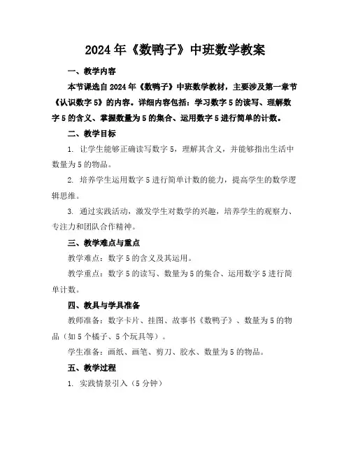 2024年《数鸭子》中班数学教案