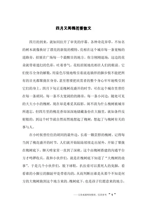 四月又闻槐花香散文
