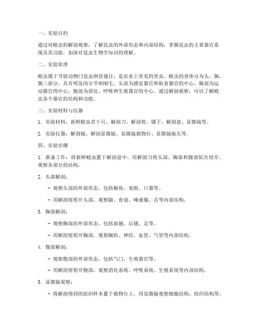 解剖观察蝗虫实验报告