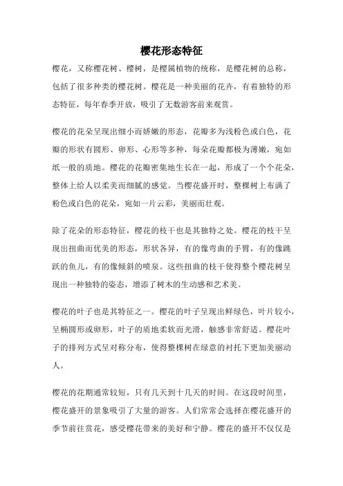 樱花形态特征