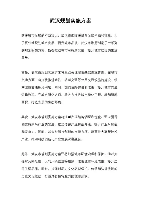 武汉规划实施方案