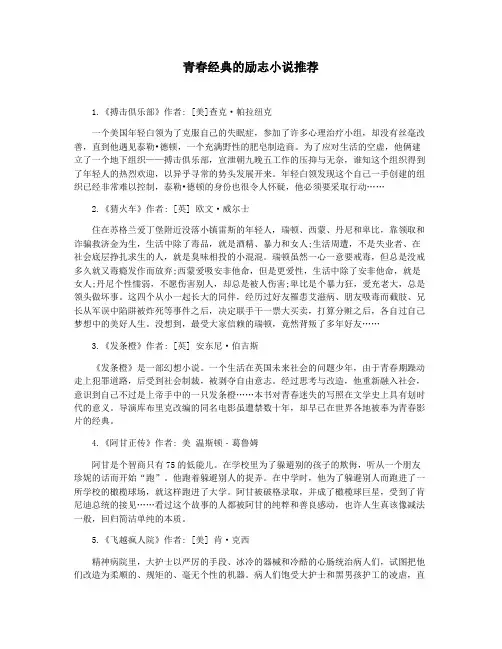 青春经典的励志小说推荐