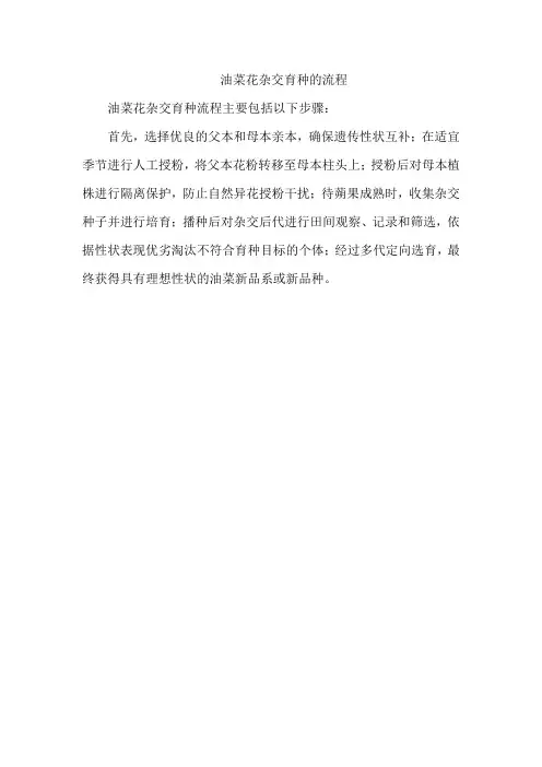 油菜花杂交育种的流程