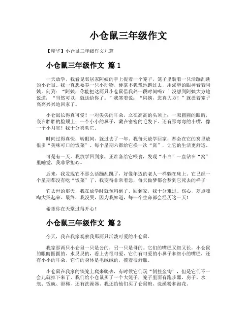 小仓鼠三年级作文