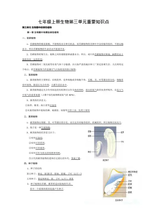 (完整版)七年级上册生物第三单元重要知识点,推荐文档
