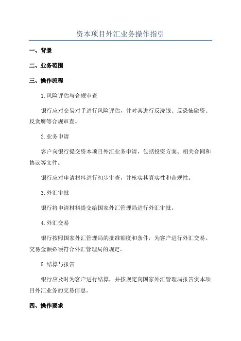 资本项目外汇业务操作指引