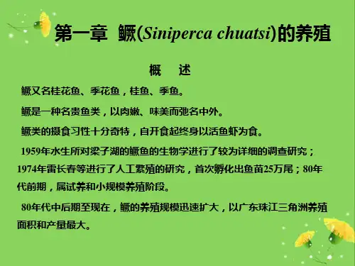 桂鱼季花鱼鳜鱼养殖技术
