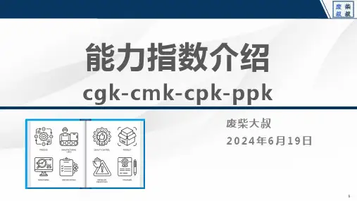 能力指数介绍(cgk-cmk-cpk-ppk).pptx