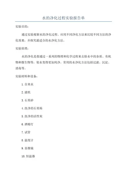 水的净化过程实验报告单
