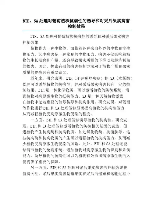 BTH、SA处理对葡萄植株抗病性的诱导和对采后果实病害控制效果
