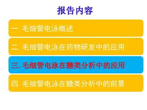 毛细管电泳课件