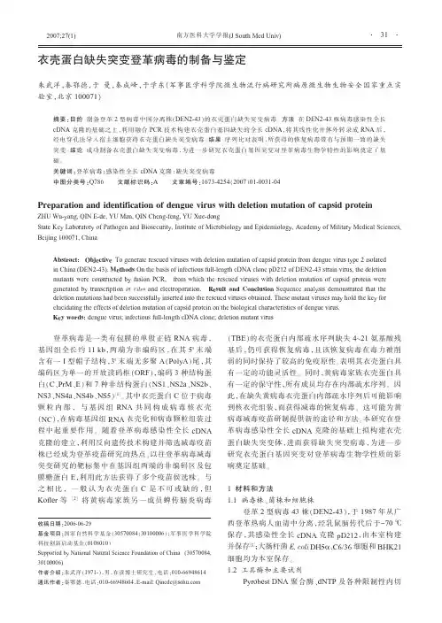 衣壳蛋白缺失突变登革病毒的制备与鉴定