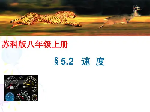 苏科物理八年级上册第五章2速度  课件(共16张PPT)