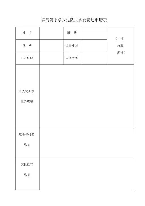 大队委竞选申请表