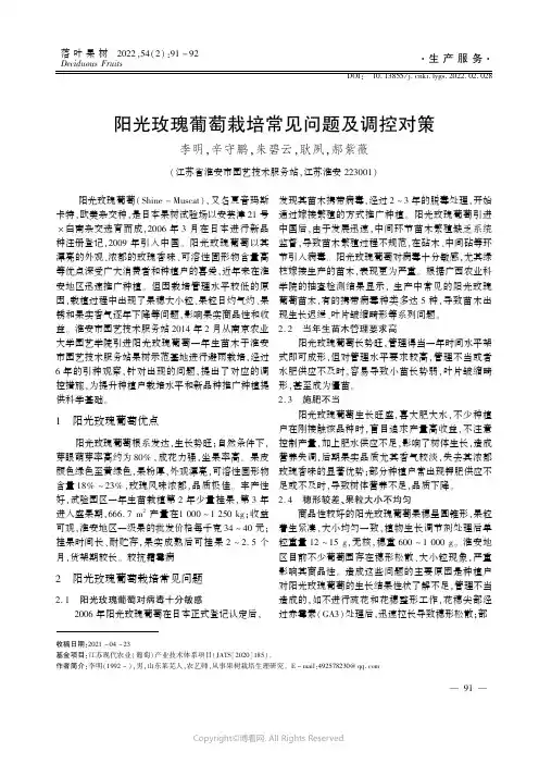 阳光玫瑰葡萄栽培常见问题及调控对策