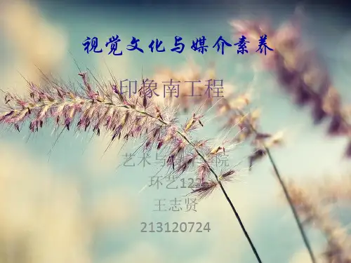 印象南工程