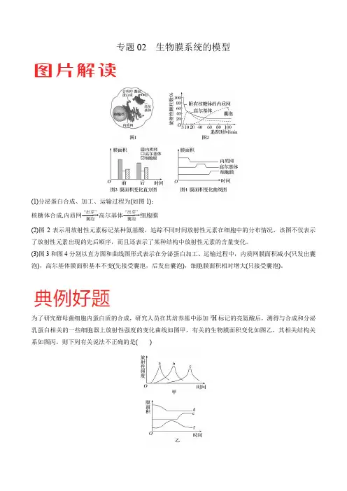 专题02 生物膜系统的模型-冲刺高考生物热点图片题型提分攻略