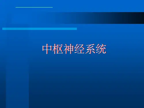 颅骨解剖ppt课件