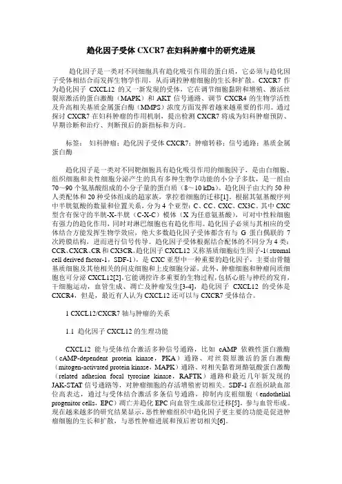 趋化因子受体CXCR7在妇科肿瘤中的研究进展