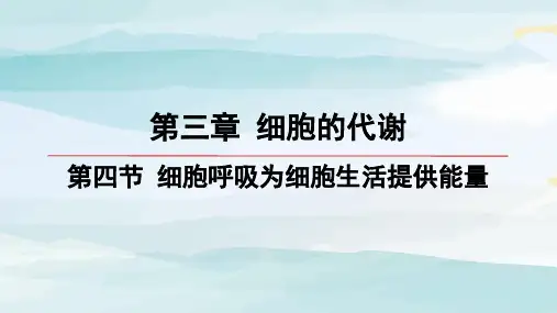 第4节-细胞呼吸为细胞生活提供能量高中生物必修一浙科版