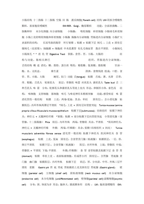 组织学与胚胎学课件__13消化管