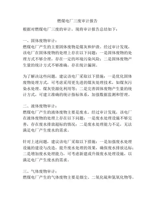 燃煤电厂三废审计报告