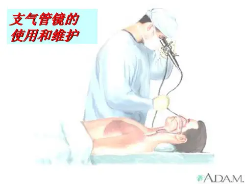 支气管镜的使用和维护