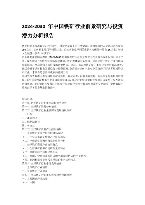 2024-2030年中国铁矿行业前景研究与投资潜力分析报告